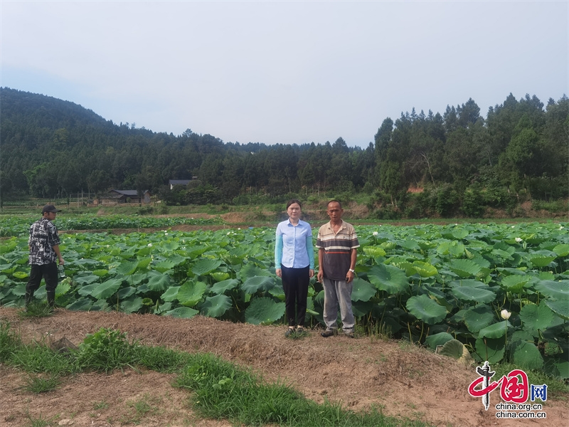 传递普惠金融火花，助推农村丰收成果