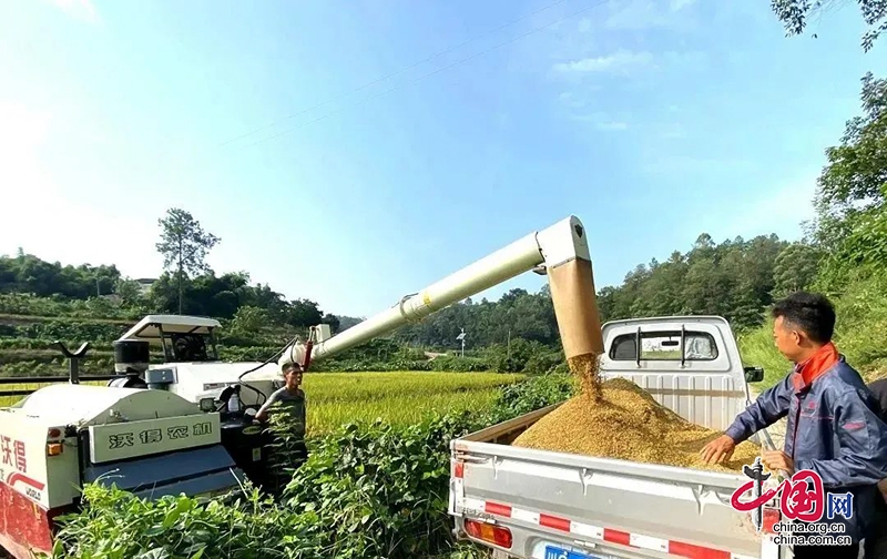 自贡市自流井区：乡村振兴绘新景