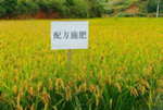 武胜县：治理面源污染 改善农村环境