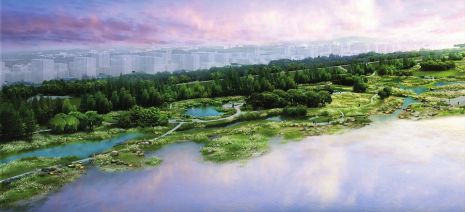 仪陇县着力为市民打造一个优美的江滩湿地公园