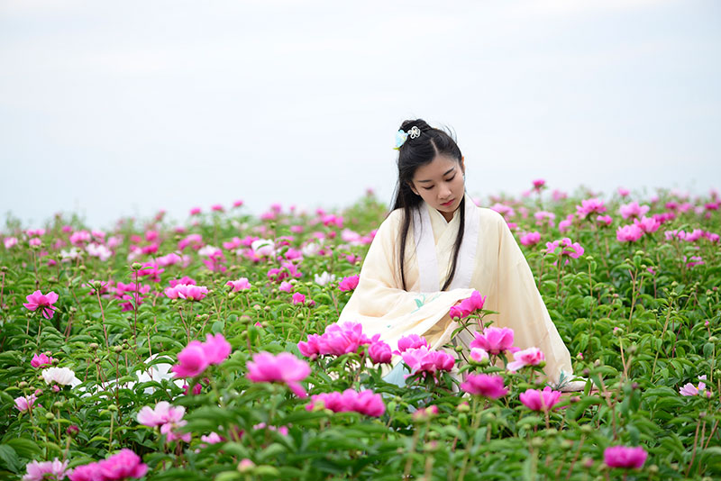 赏花正当时！成都市金堂县千亩芍药竞相怒放